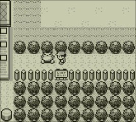 ついに蘇る！『ポケットモンスター 赤・緑・青・ピカチュウ』 名場面や