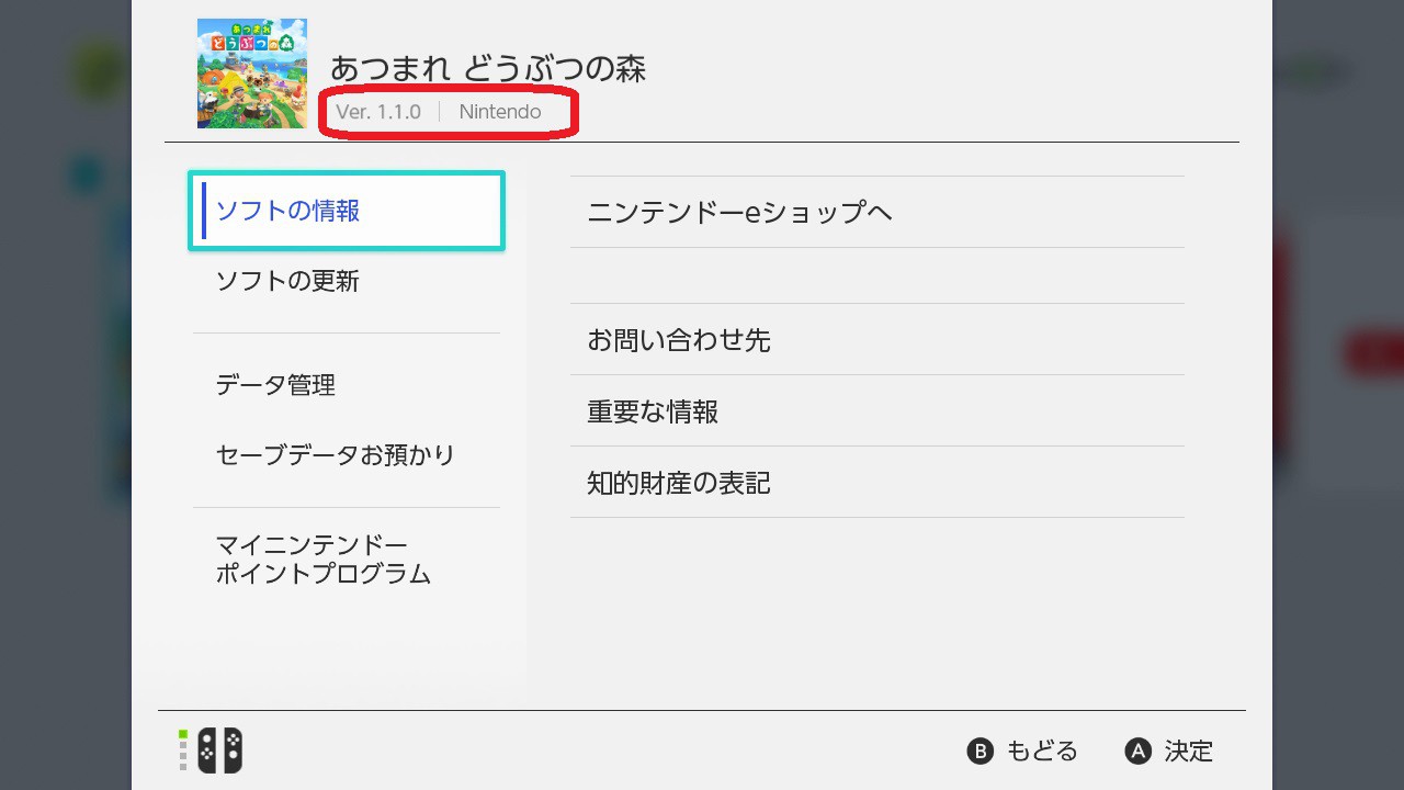 Nintendo Switch あつまれ どうぶつの森バージョン ニンテンドーSwitch あつ森バージョン+a