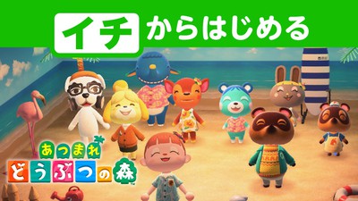 ニンテンドーSwitch あつもりデザイン Nintendo Switch Lite あつまれ どうぶつの森セット ～しずえ