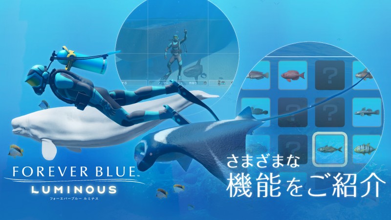 Nintendo Switch『フォーエバーブルー ルミナス』で体験できる、生き物